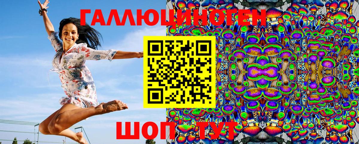 Гагарин  Псилоцибиновые грибы Psilocybe  Вход с VPN 
